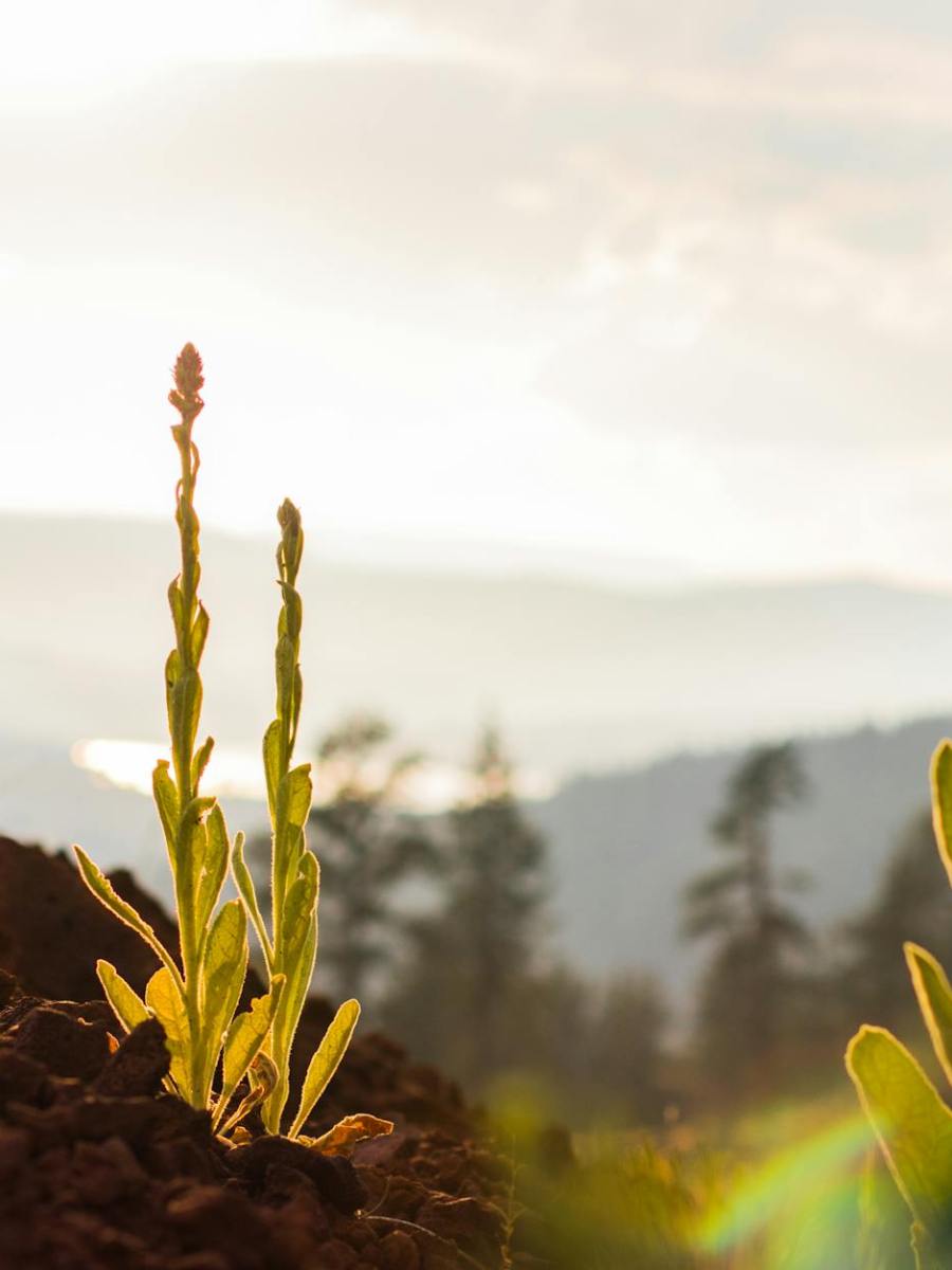 風與土的相遇When the Wind Touched the Earth