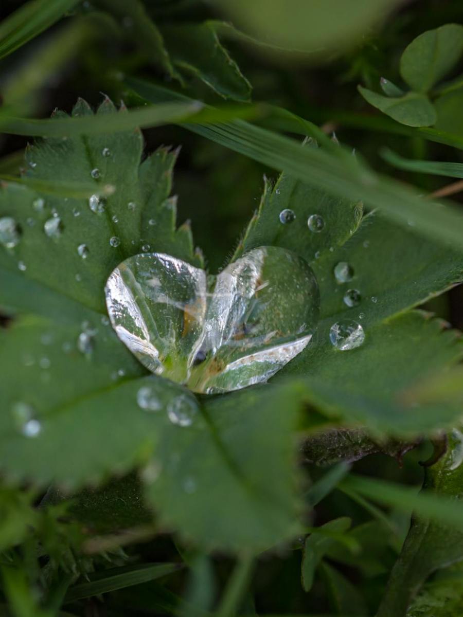 Love And Pain 愛 與 痛